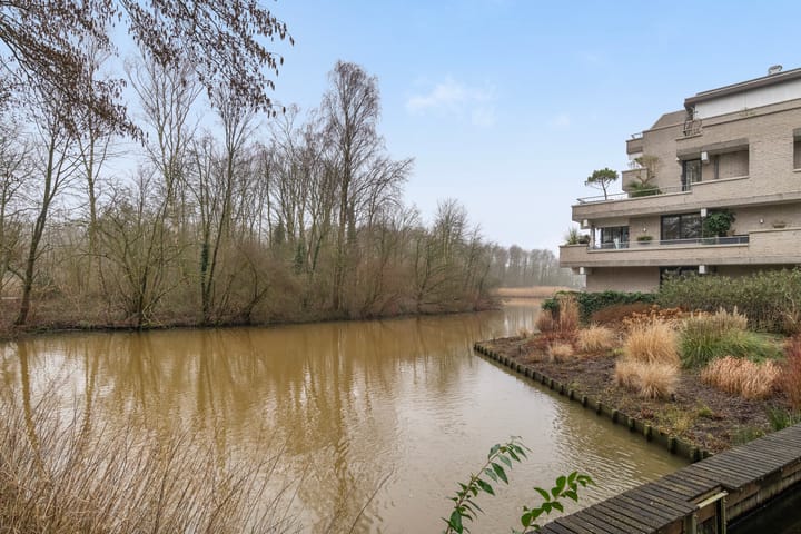 Foto 45 van Sterrekinderen erf 88