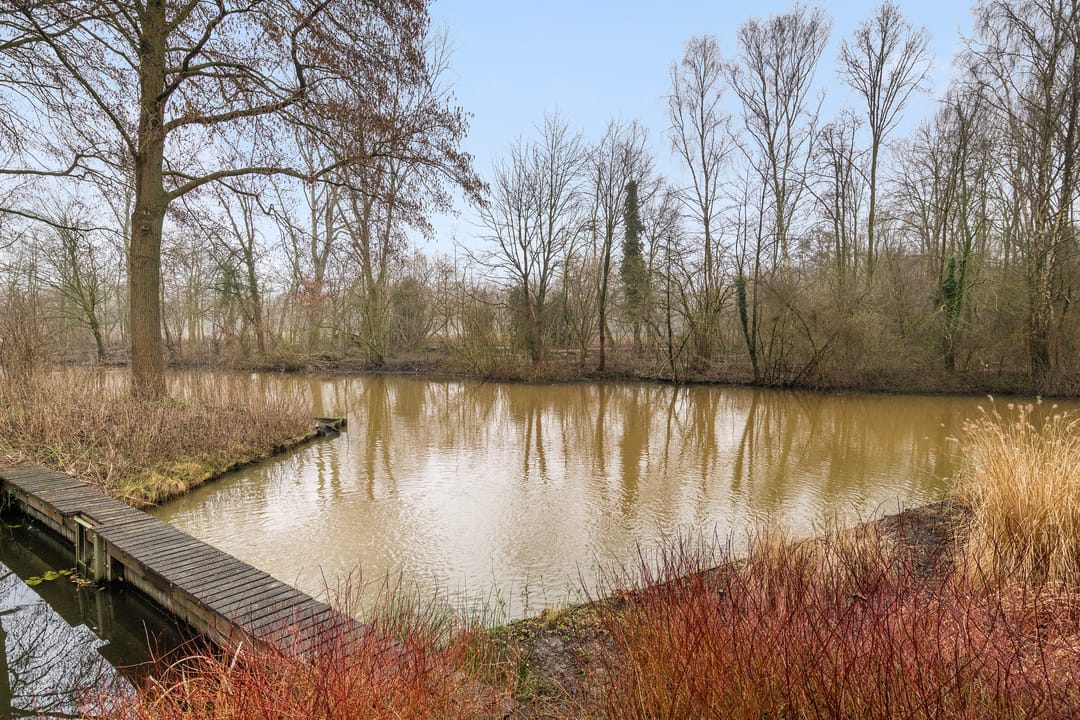 Foto 47 van Sterrekinderen erf 88