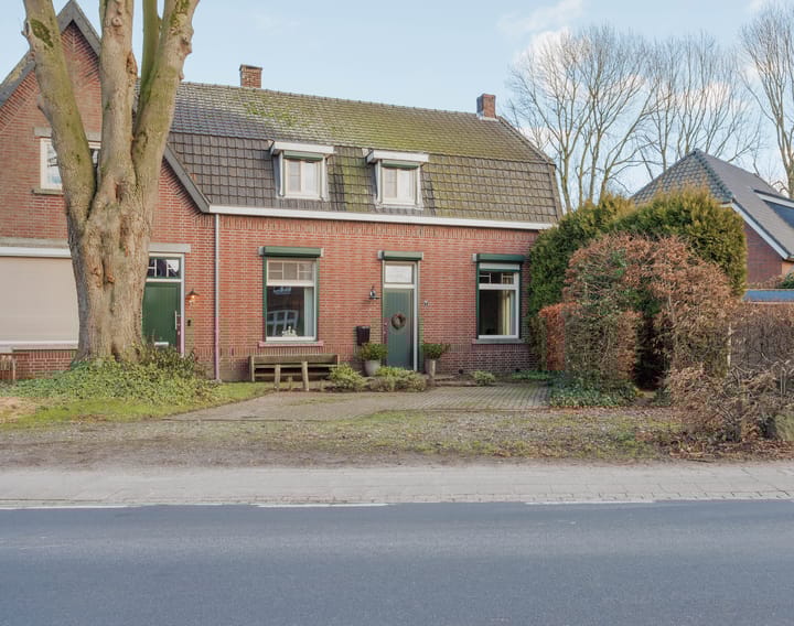 undefined main image