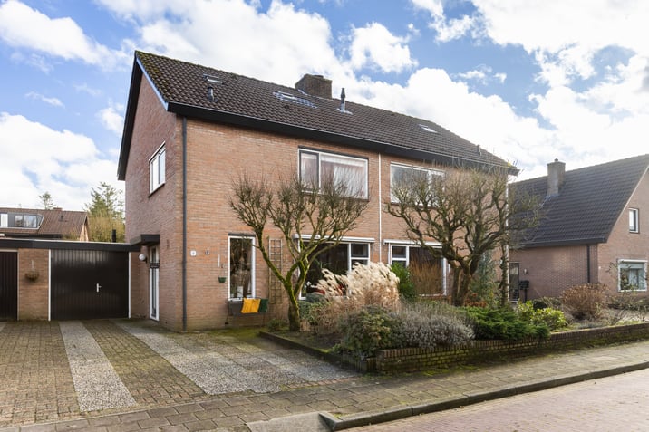 undefined main image