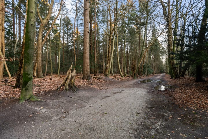 Foto 63 van Staringstraat 9