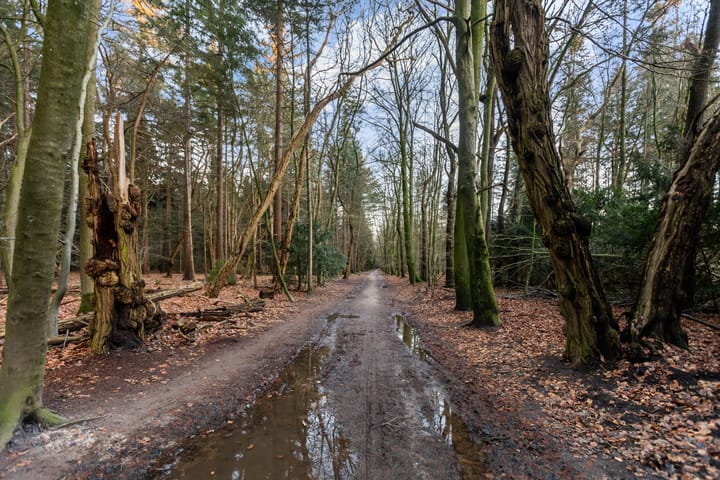 Foto 64 van Staringstraat 9