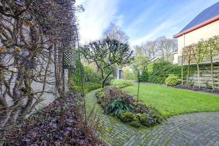 Foto 35 van Tarwe-akker 8