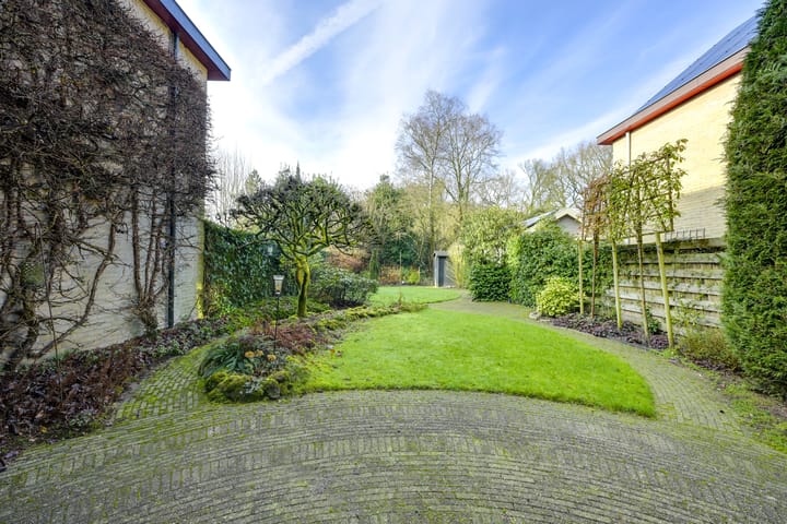 Foto 38 van Tarwe-akker 8