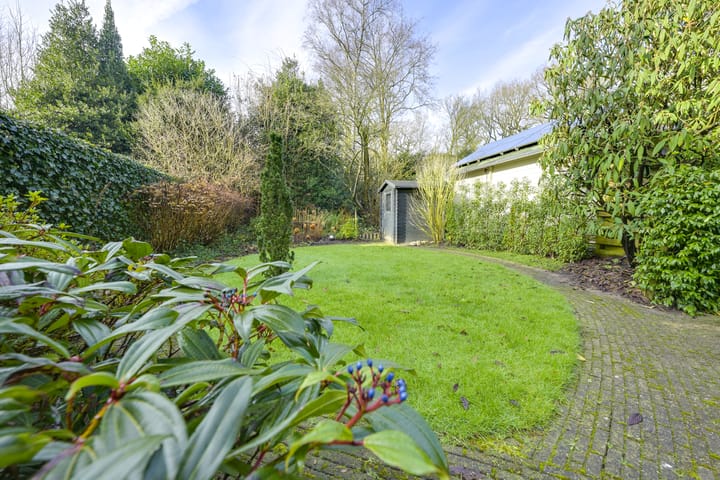 Foto 39 van Tarwe-akker 8