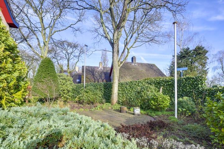 Foto 43 van Tarwe-akker 8