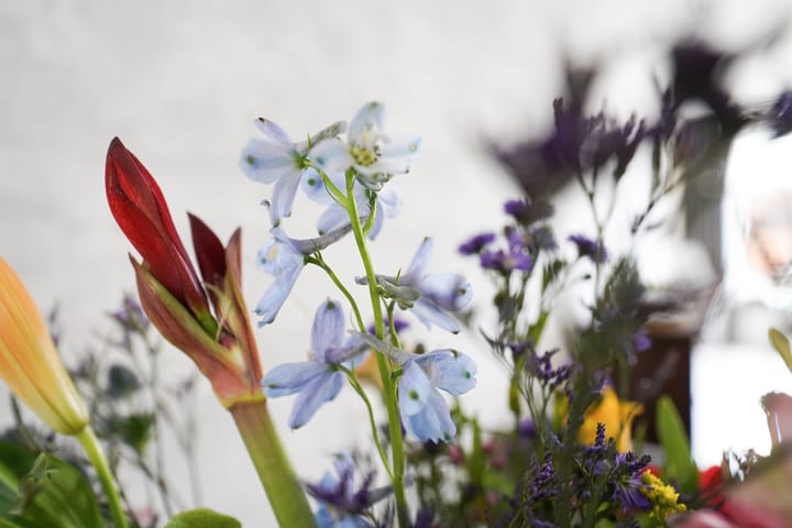 Foto 12 van Burgemeester Hoekstrastraat 2