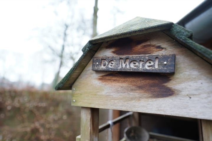 Foto 51 van Burgemeester Hoekstrastraat 2