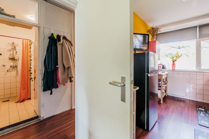 Foto 15 van Smetanastraat 7