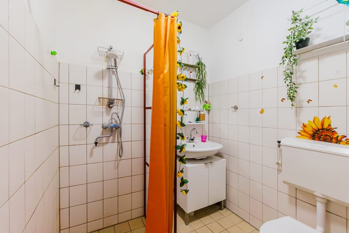 Foto 17 van Smetanastraat 7