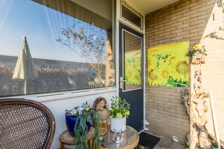 Foto 24 van Smetanastraat 7