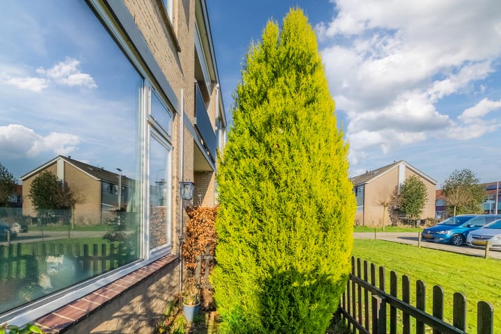 Foto 25 van Smetanastraat 7