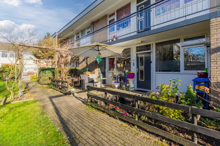 Foto 33 van Smetanastraat 7