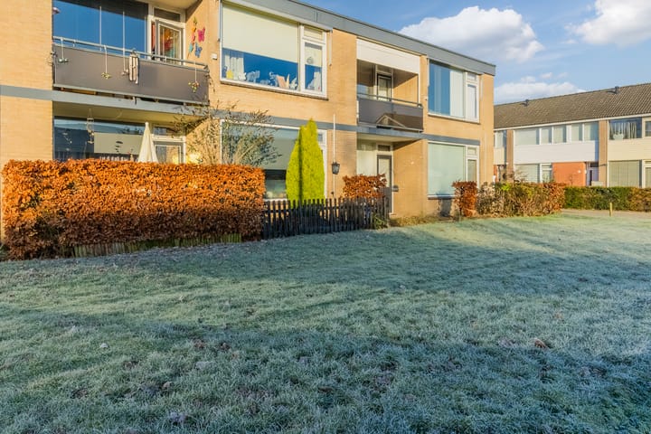 Foto 39 van Smetanastraat 7