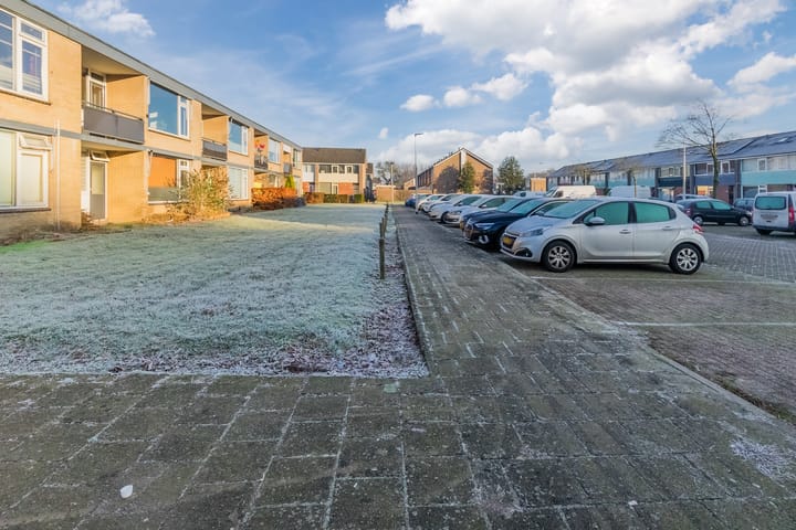 Foto 41 van Smetanastraat 7