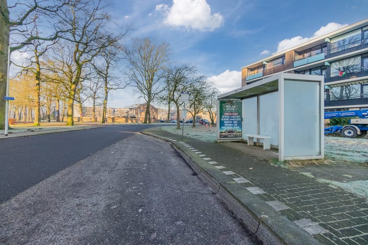 Foto 42 van Smetanastraat 7