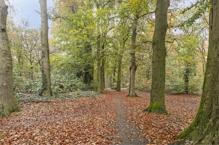 Foto 24 van Candialaan 13