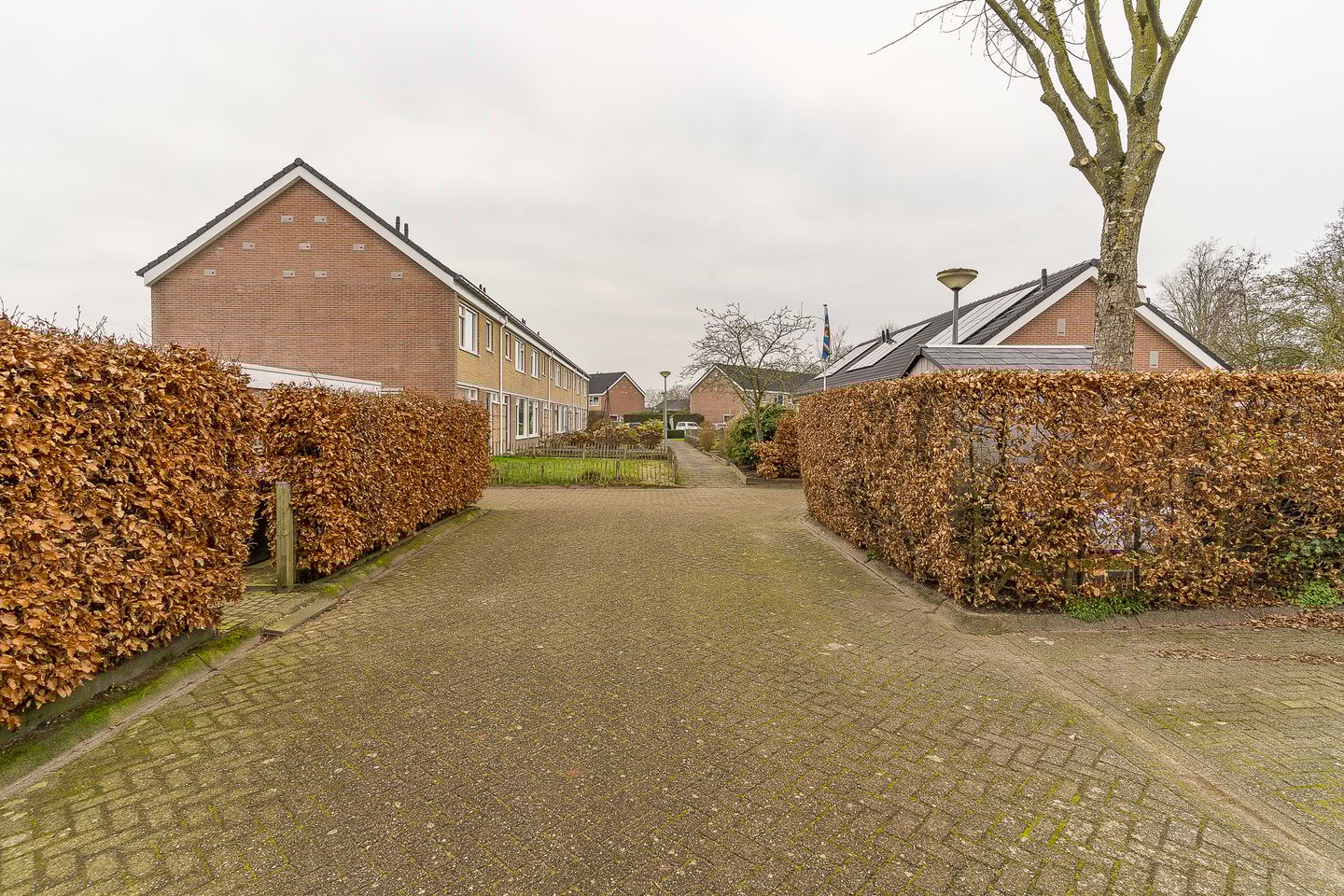 Foto 50 van Kerkenland 19