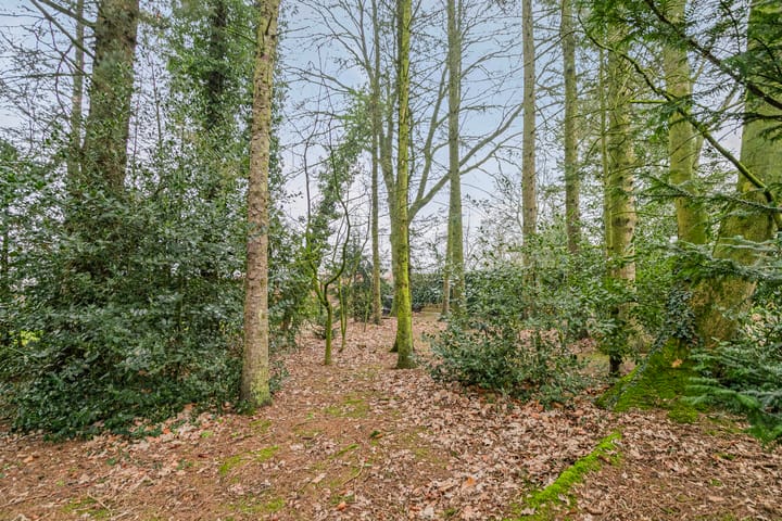 Foto 46 van Kerkbrink 36