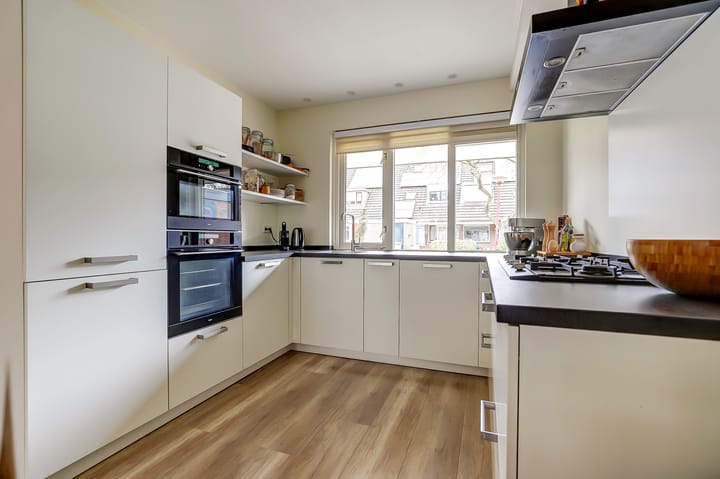 Foto 9 van Beryldrift 17