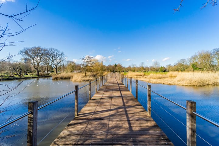 Photo 35 of Middenweg 49-3