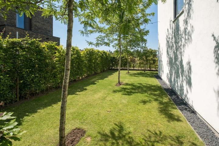 Foto 29 van Waterwijk 31