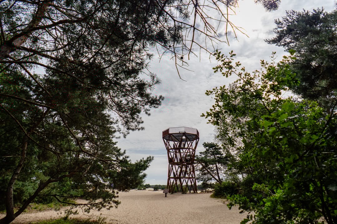 Photo 46 of Kerkendelweg 49-18