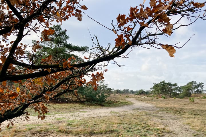 Foto 48 van Kerkendelweg 49-18