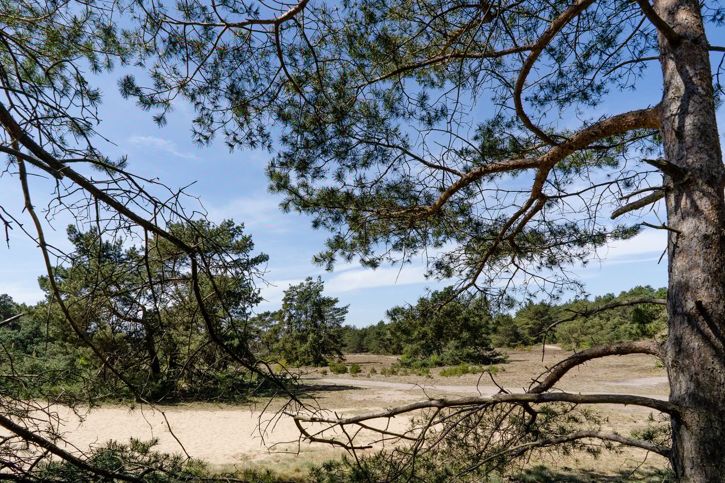 Photo 49 of Kerkendelweg 49-18