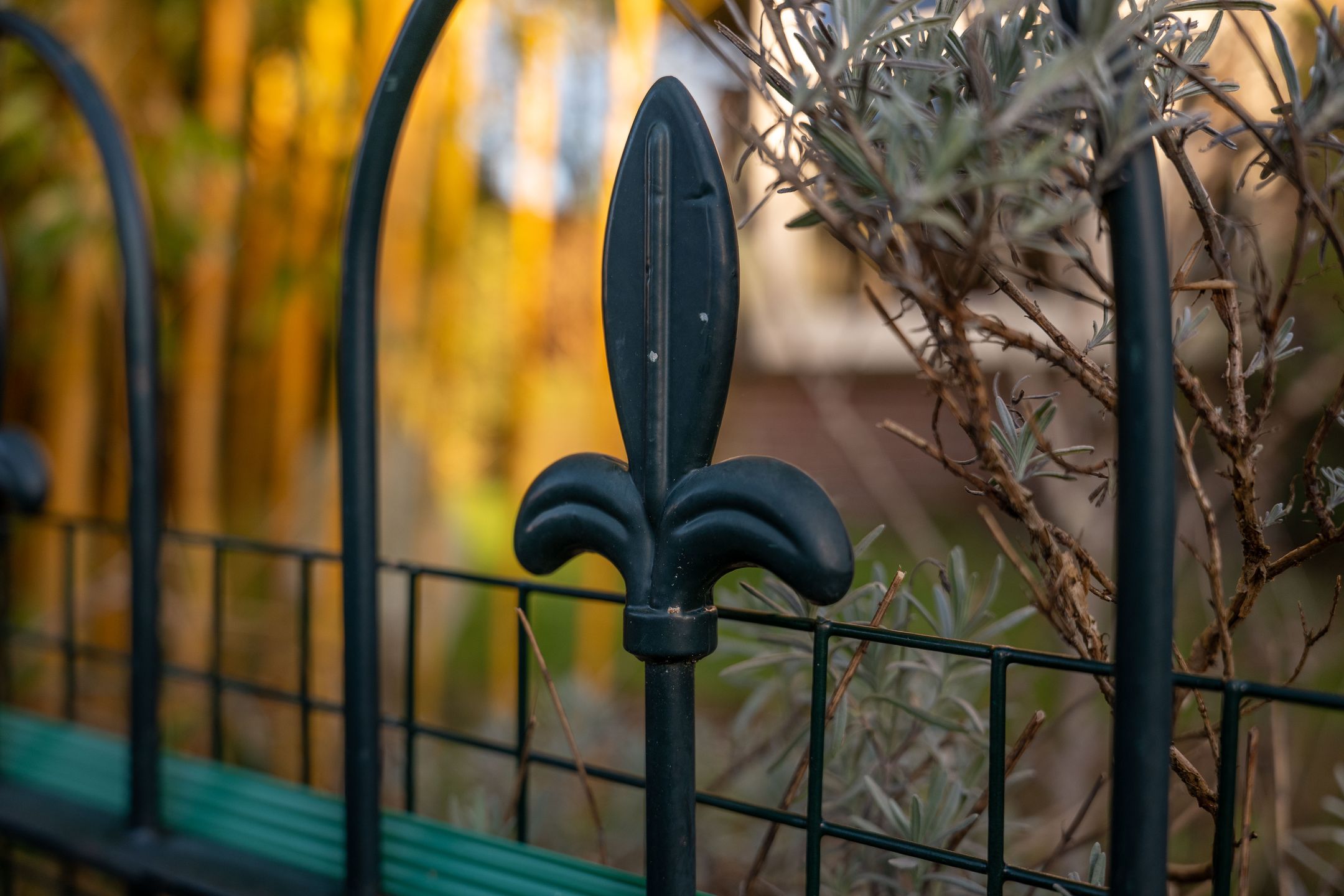 Foto 39 van Jacob Catsstraat 57