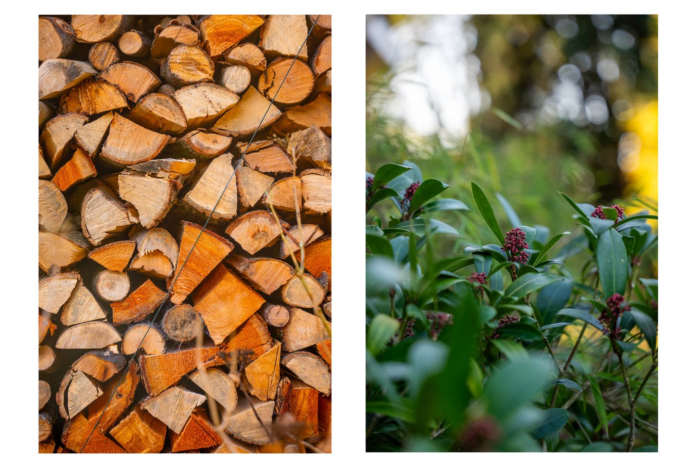 Foto 40 van Jacob Catsstraat 57