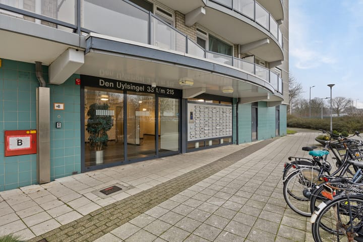 Foto 21 van Den Uylsingel 87