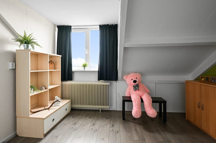 Foto 29 van Frans Halslaan 9