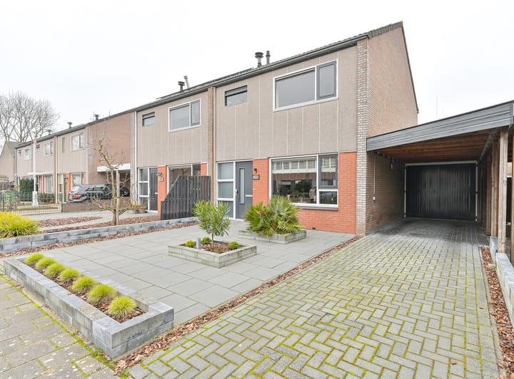 Foto 1 van Draco 102