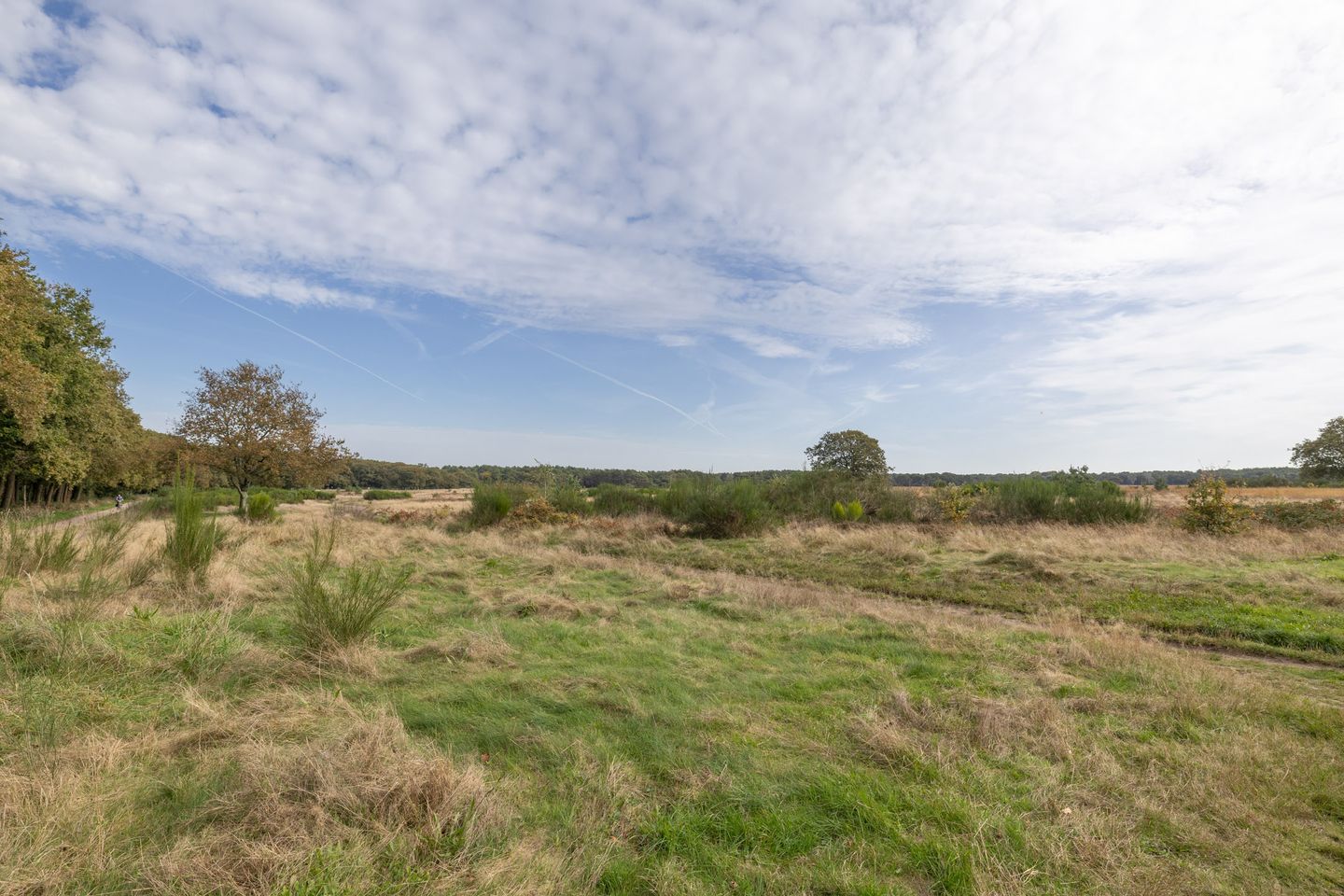 Photo 29 of Lange Heul 638