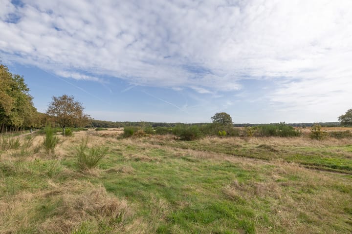 Photo 29 of Lange Heul 638