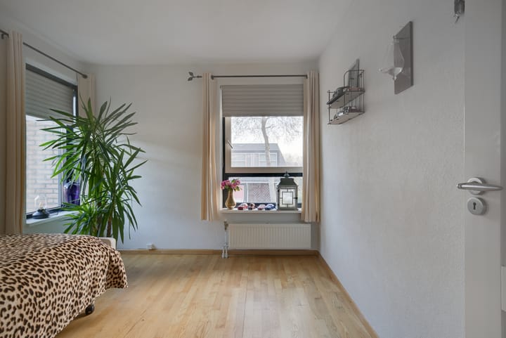 Foto 19 van Pallasstraat 41