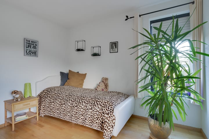 Foto 20 van Pallasstraat 41