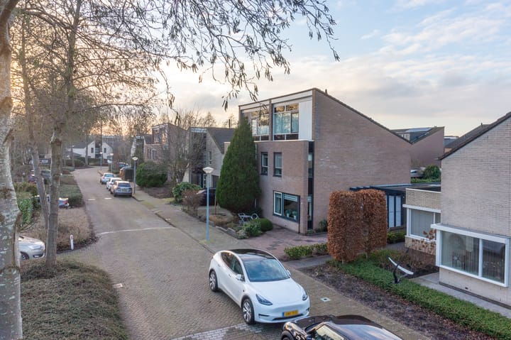 Foto 46 van Pallasstraat 41