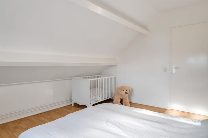 Foto 25 van Lentzinckserve 16