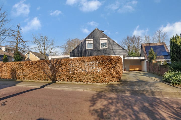 Foto 42 van Lentzinckserve 16