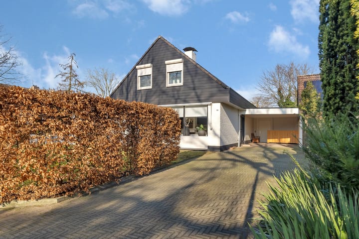 Foto 43 van Lentzinckserve 16