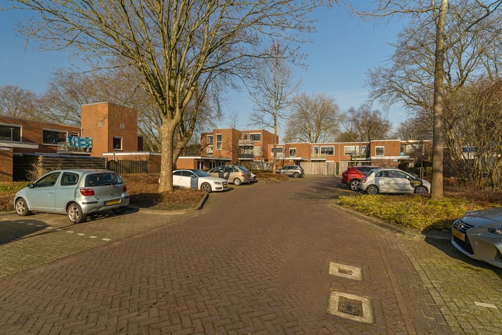 Foto 32 van Treubstraat 139