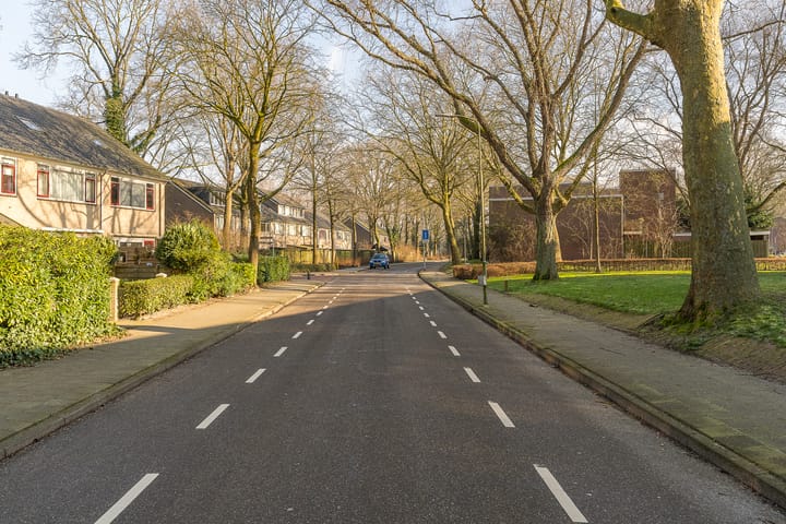 Foto 37 van Treubstraat 139