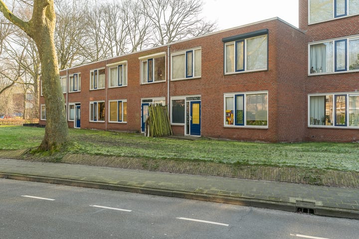 Foto 35 van Treubstraat 139