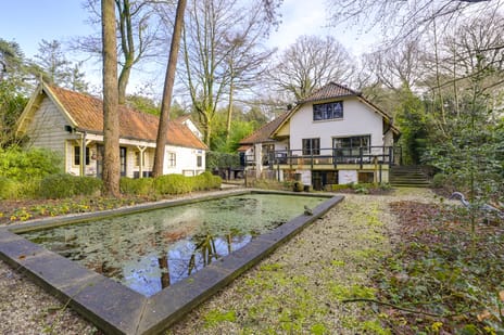 undefined main image