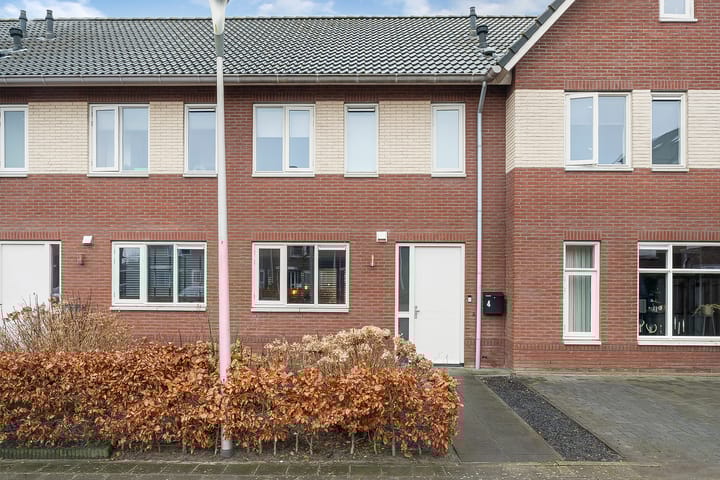 Foto 4 van Jongsmalaan 4