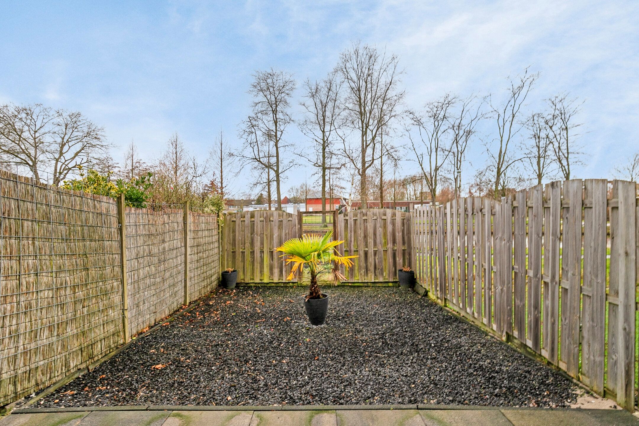 Foto 24 van Savanne 77