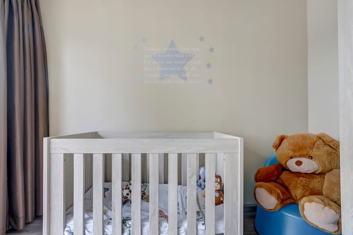 Foto 23 van van Dijckstraat 46