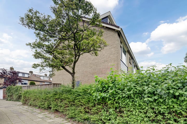 Foto 41 van van Dijckstraat 46